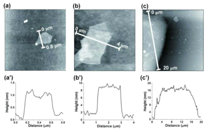 두께가 조절된 그래핀 옥사이드의 Scanning Probe Microscope (SPM) 이미지.