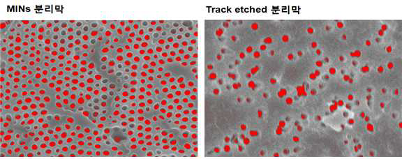 본 연구에서 제조한 MF용 MINs 등방공경 분리막과 상업화된 트랙 에치 분리막의 세공 비교 SEM 이미지 (붉은 색 부분이 막세공).
