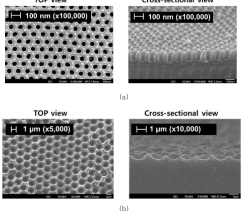 패턴형 몰드의 SEM 이미지 (a) 나노패턴형 AAO 몰드 (b) 마이크로 패턴형 MINs 몰드