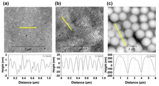 AFM으로 분석한 UF 분리막 표면 (a) 무패턴, (b) 나노패턴, (c) 마이크로 패턴