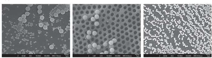 모델 입자 (0.3과 1.1 ㎛)를 이용한 MINs 분리막 입자 제거 평가 SEM 이미지