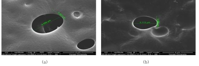 SEM 이미지 (a) MINs 코팅되지 않은 PES 분리막, (b) MINs 코팅된 PES 분리막.