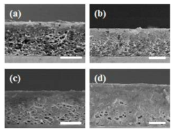 (a) PDMS에 의해 생성된 다공성 구조, (b) oligomer를 제거한 PDMS를 사용한 결과, (c) oligomer를 고분자 용액에 첨가한 결과, (d) 고온(80ºC)에서의 결과.