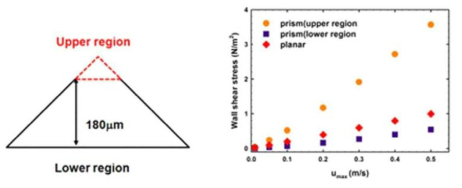 국부 전단 응력(local shear stress)의 측정 영역 및 유속에 따른 변화 양상.