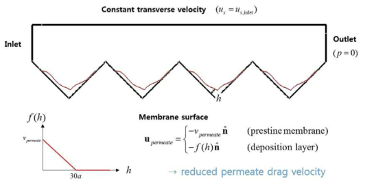 교차 흐름 입자 적층(cross-flow particle deposition) 시뮬레이션에의 적용.