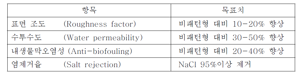 패턴형 RO 분리막의 최종 연구 목표