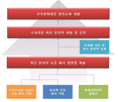 분리막 유동 해석 플랫폼의 발전 단계