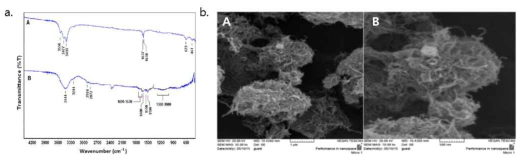 MWCNT 표면에 NH2 작용기 개질 분석 (a.A) raw MWCNT (a.B) NH2기가 개질된 MWCNT의 FT-IR 데이터, (b.A) raw MWCNT (b.B) NH2기가 개질된 MWCNT의 SEM 사진.