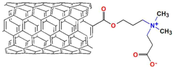 연구에 사용한 SWNT 표면에 양쪽성 이온기를 도입한 화학적 구조 묘사.