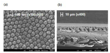 나노 패턴형 UF PES막의 a) 표면과 b) 단면.