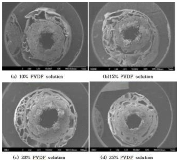 PVDF 용액 농도의 변화에 따른 중공사막의 단면 구조.