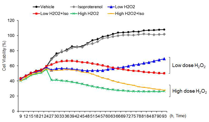 과산화수소와 isoproterenol이 시간의존적으로 심근세포의 사멸에 미치는 영향에 대한 분자생 물학 실험결과(실시간 세포 이미징 시스템인 IncuCyte ZOOM을 활용한 본 세부과제 연구팀의 자 체실험결과임).