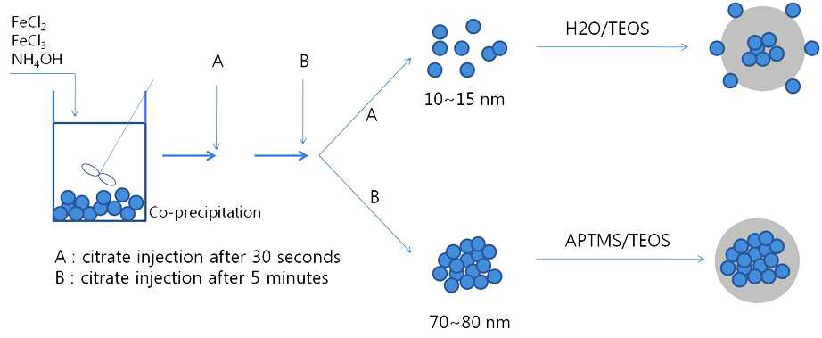 The scheme for the fabrication of Fe3O4 clusters via a co-precipitation process.