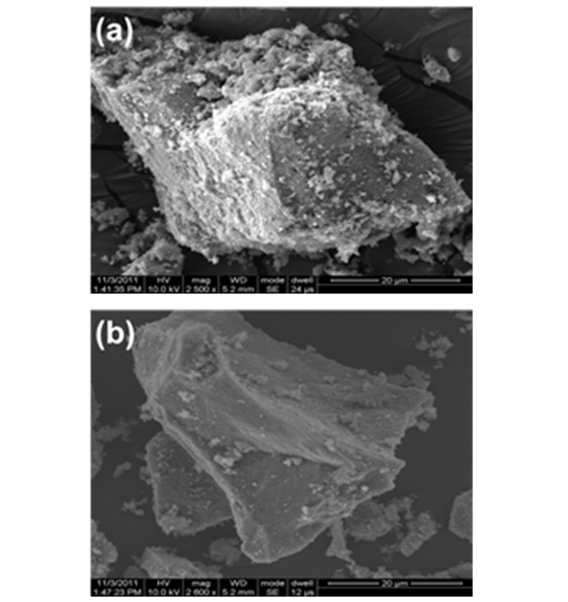 800°C에서 열분해 된 pyrolytic carbon 코팅 된 Si의 SEM 이미지