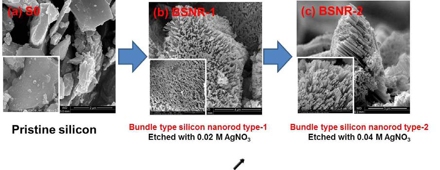 AgNO 의 농도에 따른 실리콘의 SEM 이미지