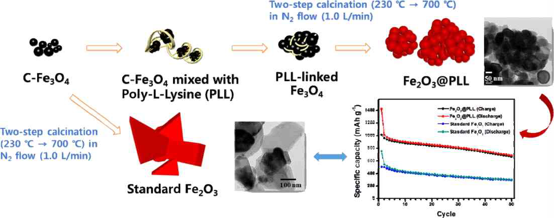 Schematic diagrams for synthesizing standard Fe2O3 and Fe2O3@PLL.