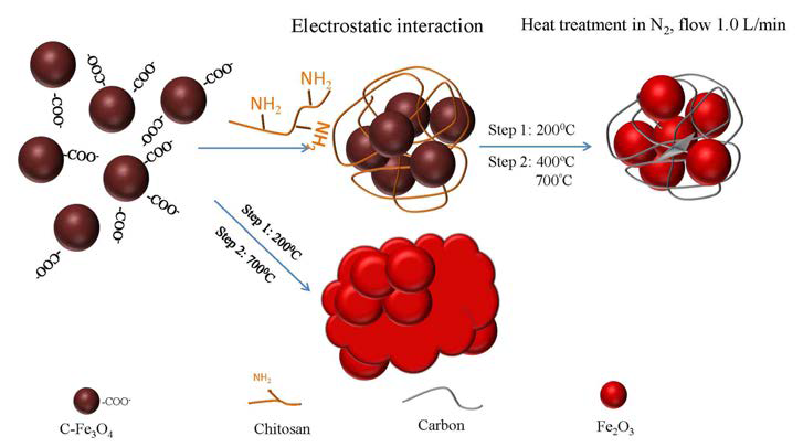 Schematic diagram for synthesizing bare Fe2O3 and Fe2O3@Chitosan samples.