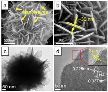 Echeveria 형태를 가진 SnO2 전극 물질의 (a) SEM 표면 저배율, (b) 고배율 이미지와 (c) TEM, (d) 고배율 TEM 이미지.