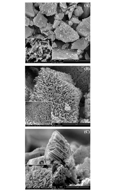 (a) Silicon – 0, (b) Bundle-type silicon nanorods – 1, (c) Bundle-type silicon nanorods – 2에 대한 SEM 이미지.