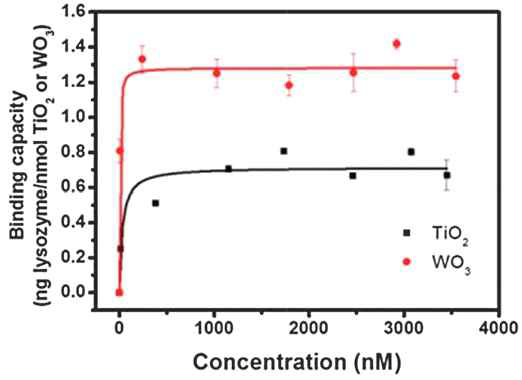 TiO2 및 WO3 입자와 결합하는 lysozyme의 등온흡착선