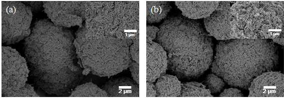 (a)밀집된 카본나노튜브 볼 및 (b)밀집된 질소도핑 카본나노튜브 볼의 전자현미경 이미지