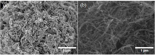(a)밀집된 질소도핑 카본나노튜브 볼 구조 및 (b)카본나노튜브 필름의 고배율 기반 카본 전극 소재의 전자현미경 이미지