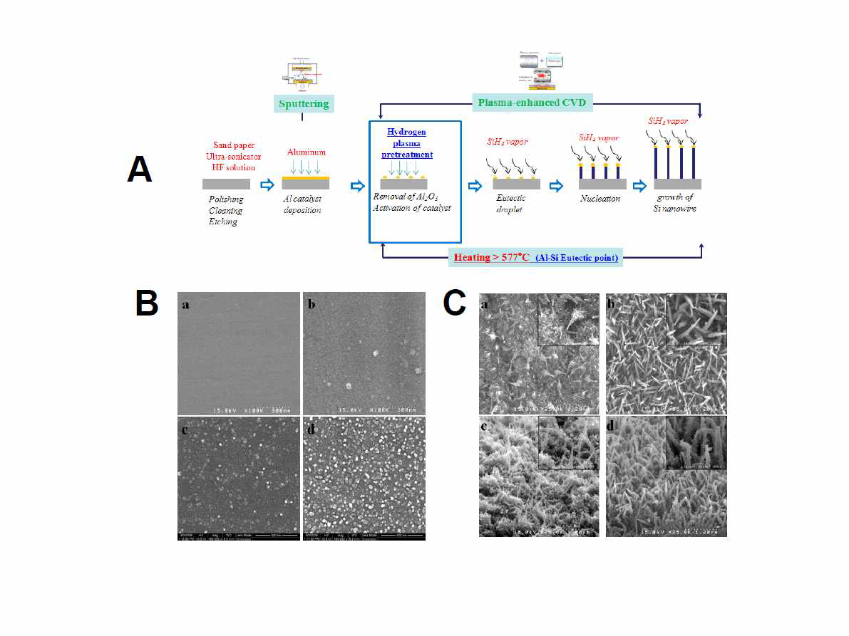 A: 실리콘의 부피 팽창을 피하기 위한 실리콘 나노와이어의 제조 및 알루미늄 촉매 전처리 공정 개략도, B: 촉매 증착 전, 후 다른 처리에 따른 표면 형상: (a) 스테인리스 316 집전체, (b) 알루미늄 코팅 된 스테인리스 316 집전체, (c) 수소 플라즈마 처리 없이 열처리, (d) 수소 플라즈마 처리 하면서 열처리, C: 수소 플라즈마 유무에 따른 실리콘 나노와이어의 표면 및 단면 형상: (a, c) 프라즈마 처리 無, (b, d) 플라즈마 처리 有