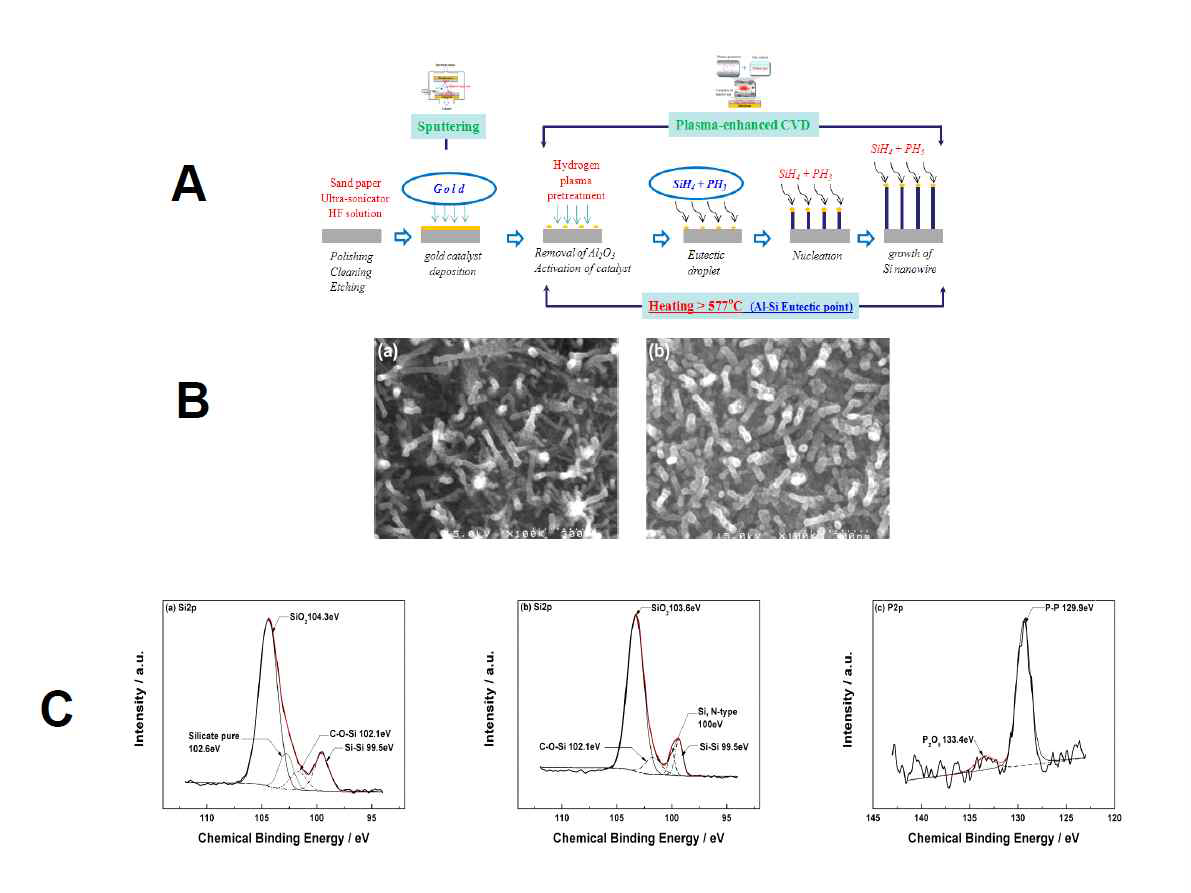 A: 실리콘의 부피 팽창을 피하기 위한 실리콘 나노와이어의 제조 및 인 도핑 공정 개략도, B: 인 도핑 유무에 따른 실리콘 나노와이어의 형상: (a)인 도핑 無, (b)인 도핑 有, C: 인 도핑 유무에 따른 XPS 데이터 (a)인 도핑 無(Si2p), (b)인 도핑 有 (a)인 도핑 無, (b)인 도핑 有(Si2p), (c) 인 도핑 有(P2p)