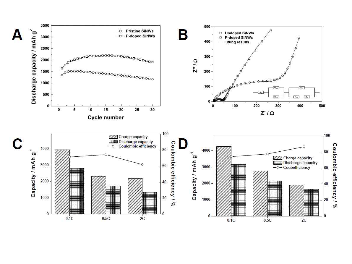 A: 인 도핑 유무에 따른 실리콘 나노와이어 전극의 사이클 특성, B: 인 도핑을 하지 않았을 때 다양한 C-rate에서 첫 사이클에서의 충전 방전 용량 및 쿨롱 효율, C: 인 도핑을 했을 때 다양한 C-rate에서 첫 사이클에서의 충전 방전 용량 및 쿨롱 효율
