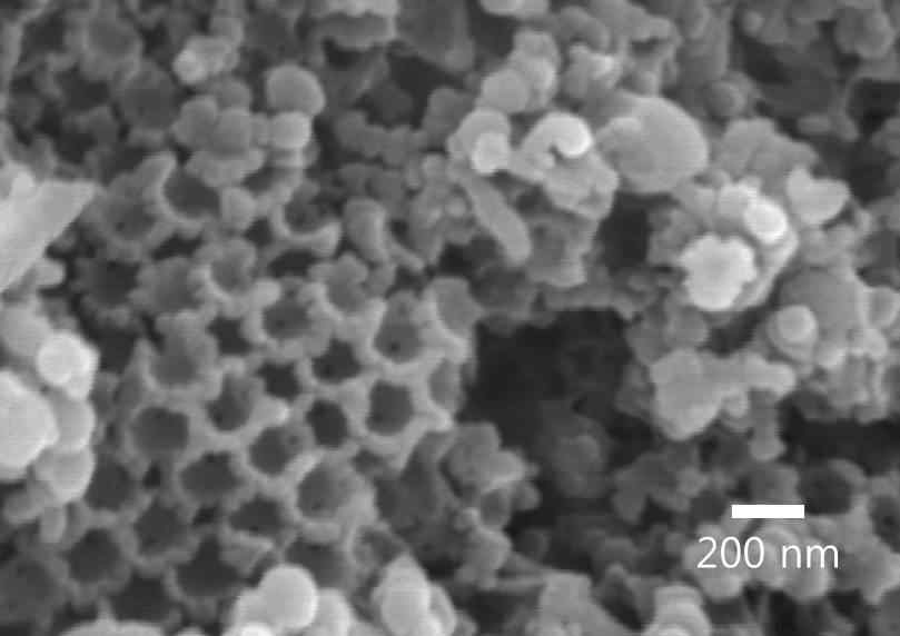 Si-IOC의 전자현미경 사진