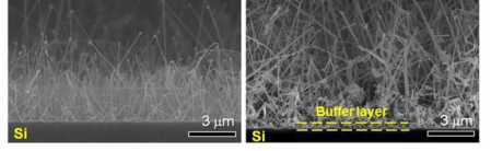 열 기상 증착법을 이용한 합성 온도별 SnO2 단일 나노선의 주사 전자현미경 이미지.