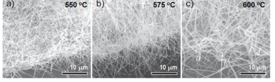 MOCVD법을 이용한 합성 온도별 직접 성장된 Ge 나노선의 주사 전자현미경 이미지