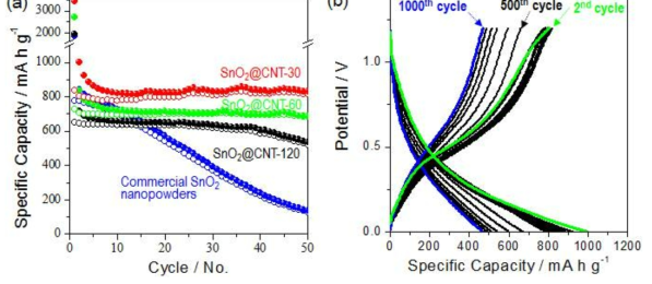 SUS+CNT로 구성된 집전체 위로 직접 성장시킨 SnO2 나노선의 전기화학적 특성 평가/분석 결과,