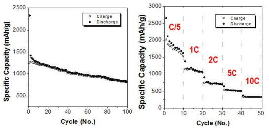 SUS+CNT로 구성된 집전체 위로 직접 성장된 CoO 나노구조체의 전기화학적 특성 평가/분석