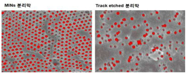 본 연구에서 제조한 MF용 MINs 등방공경 분리막과 상업화된 트랙 에치 분리막의 세공 비교 SEM 이미지 (붉은 색 부분이 막세공).