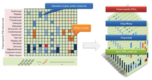 개인 맞춤형 치료을 가능하게 하는 “Pharmaco-iPSCellomics“.