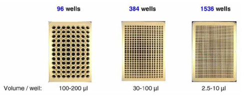 bioassay에 사용되는 microtiter plates.