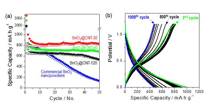 SUS+CNT로 구성된 집전체 위로 직접 성장시킨 SnO2 나노선의 전기화학적 특성 평가/분석 결과