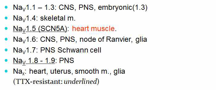 조직 특이적 나트륨 채널의 발현