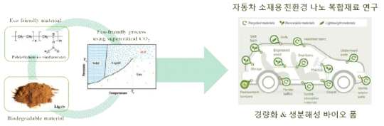 초임계 유체 이산화탄소를 이용한 EVA/Lignin 바이오 폼 제조 연구에 관한 도식