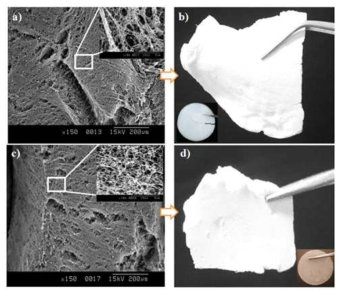 CTC-CA 막의 150배 확대된 SEM 사진(a), 건조된 CTC-CA 막의 사진(b), SFC-CA 막의 150배 확대된 SEM 사진(c), 건조된SFC-CA막의 사진(d)