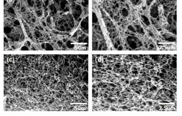 유기용매법으로 제조된 CA-aerogel (a), (b)와 초임계유체법으로 제조된 SFC-CA aerogel (c), (d)의 SEM images