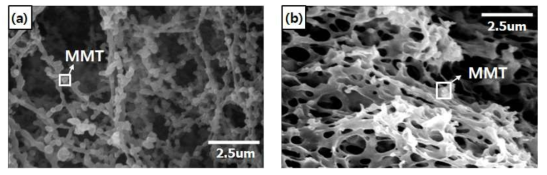 SEM imagines of (a)CTC-CA-MMT aerogel and (b)SFC-CA-MMT