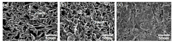 EVA-MMT foam의 SEM 이미지 ; (A) EVA foam (B) 6A-MMT (C) 25A-MMT (D) 30BMMT