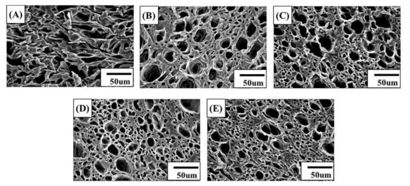 초임계 유체 이산화탄소를 이용하여 제조한 EVA 폼과 EVA/MMT nanocomposite 폼의 SEM images