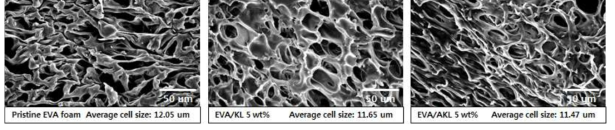 Pristine EVA foam, EVA/KL composite foam, EVA/AKL composite foam의 전자 현미경 분석 사진