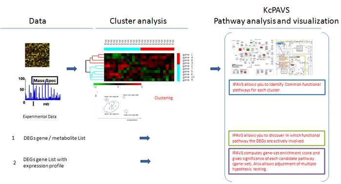대용량데이터를 업로드하여 주요 pathway를 산출하고 유전자들간의 clustering를 분석하는 툴 개발