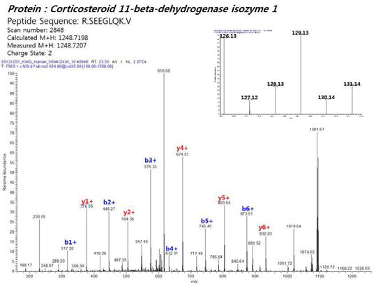 허혈성 말기시료에서 발현 변화를 보이는 corticosteroid 11-beta-dehydrogenase isozyme 1의 단백질 동정 결과 이미지