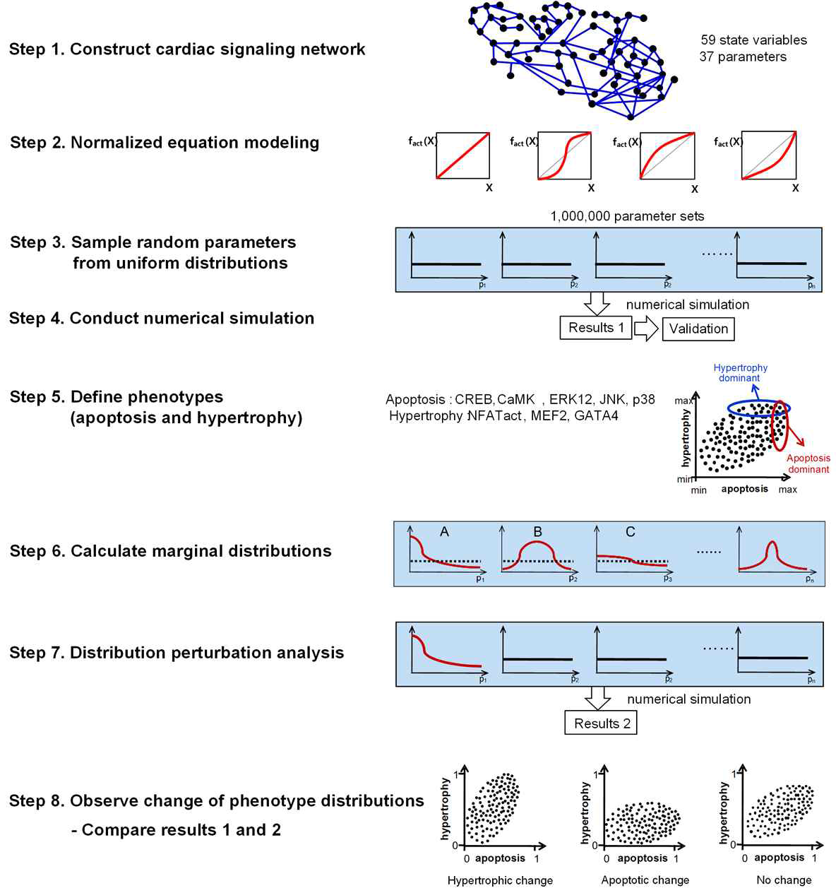 핵심 심근세포 신호전달네트워크에 대한 표준화 미분방정식 모델의 섭동분석법 수행 절차