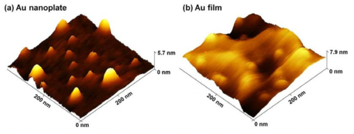 (a) Ultraflat, ultraclean 금 나노판 위에, (b) 거친 금 박막 위에 고정된 바이오틴 조립체